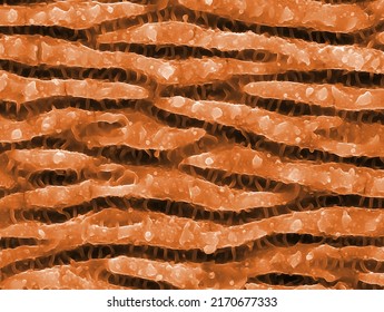 Set Of Different Nanostructures On Titanium Surface Produced By Laser Ablation With Femtosecond Laser Pulses. Scannin Electron Microscope View