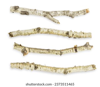 set. different options and forms. Birch branches. 