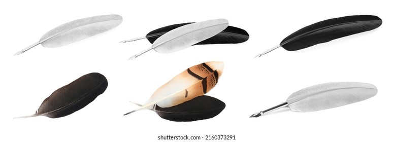 Set with different quills on white background, banner design. Writing tool