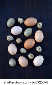 Set of different types birds eggs from chicken, pheasant and quail on a dark background.