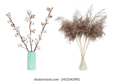 Set of Dry decorative Cotton Flower and Pampas Grass in a glass vase, isolated on a transparent background