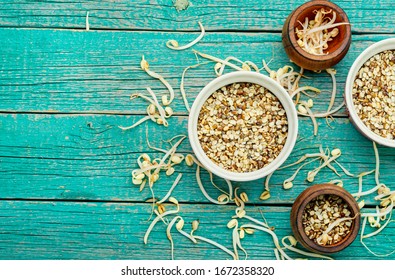 Set dry green bean and sprouts moong or mung