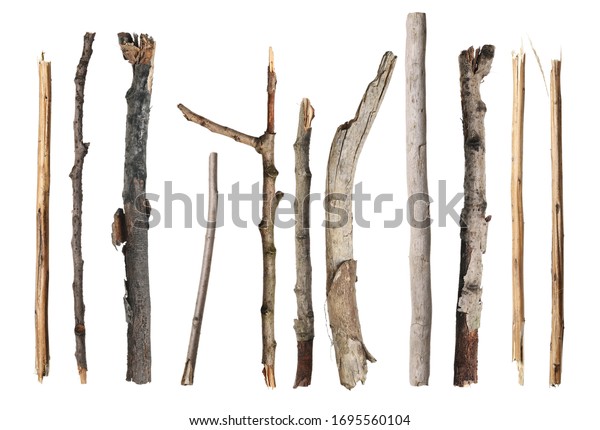 13,021 Burnt Branches Images, Stock Photos & Vectors | Shutterstock