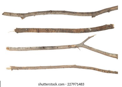 3,077,426 Branch isolated Images, Stock Photos & Vectors | Shutterstock