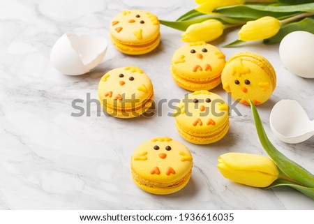 Set of easter macaroon chicks with yellow tulips and eggs over marble background. Side view, close up, copy space. Easter treat, holiday symbol