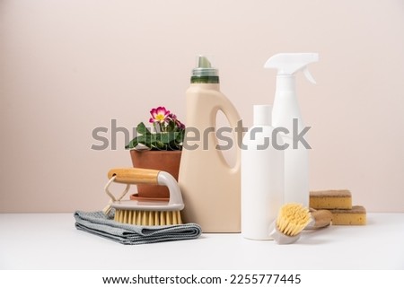 Set of eco-friendly cleaning tools on beige background with plant. Concept of spring cleaning services with copy space