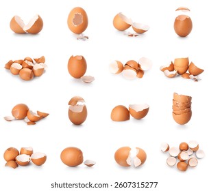 Set of egg shells on white background