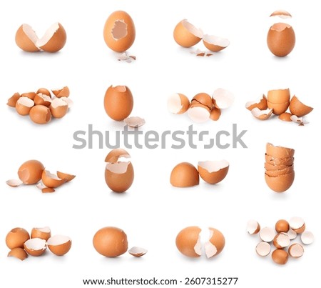 Set of egg shells on white background
