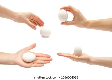 set of eggs, woman hand. Isolated on white background. - Powered by Shutterstock