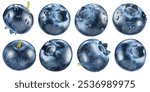 Set of eight ripe blueberries covered with water drops on white background. File contains clipping paths.