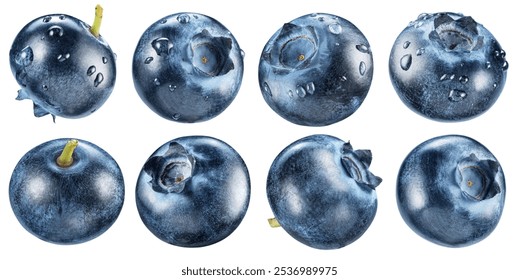 Set of eight ripe blueberries covered with water drops on white background. File contains clipping paths. - Powered by Shutterstock