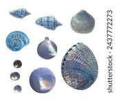 set of elements, beautiful shells and mother-of-pearl jewelry and pearls.