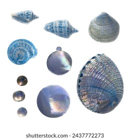 set of elements, beautiful shells and mother-of-pearl jewelry and pearls.
