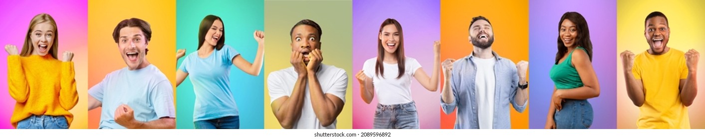 Set Of Emotional Diverse Men And Women Celebrating Success With Clenched Fists And Euphoric Face Expressions, Posing On Colorful Gradient Studio Backgrounds, Panorama