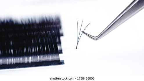 Set Eyelash Extension Tools White Isolated Background.