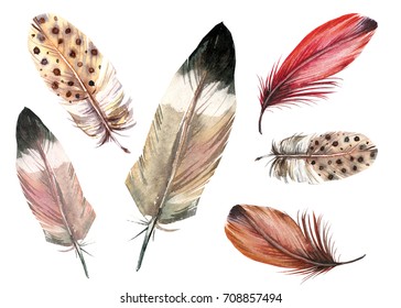 Pheasant Drawing Stock Images, Royalty-Free Images & Vectors | Shutterstock