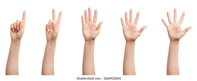 Set Female Hands Stock Photo (Edit Now) 1064920634 | Shutterstock