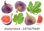 Set of fig fruits, fig leaves and slices of fig on white background. File contains clipping paths.