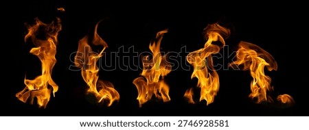 The set of fire and burning flame isolated on dark background for graphic design usage