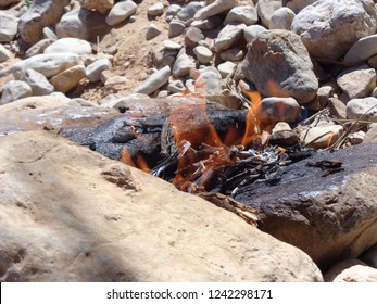 Set fire in the wild