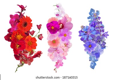 set of flower decorations isolated on white background