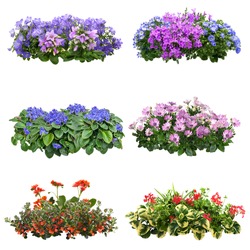 Set Of Flowers Isolated On White Background. Cutout Plants For Garden Design Or Landscaping. High Quality Clipping Mask For Professionnal Composition. Flower Bed.