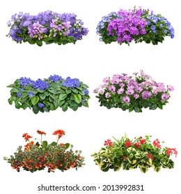 Set of flowers isolated on white background. Cutout plants for garden design or landscaping. High quality clipping mask for professionnal composition. Flower bed.