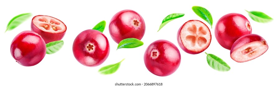 Set of flying red forest berries isolated on a white background. Cranberries levitate horizontally with their leaves. - Shutterstock ID 2066897618