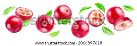 Set of flying red forest berries isolated on a white background. Cranberries levitate horizontally with their leaves.
