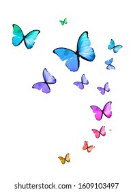 Set Of Flying Tropical Butterflies Isolated On A White Background