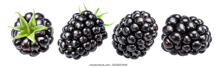 Set of four blackberries on white background. File contains clipping paths.