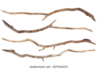 Set of four dry, aged drift wood branches isolated on a white background