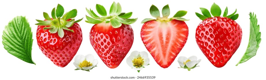 Set of four juicy strawberries, one of which is cut with leaves and flowers, isolated on a white background. - Powered by Shutterstock