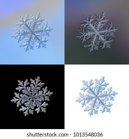 Set With Four Variants Of Same Snowflake With Different Processing. Macro Photo Of Real Snow Crystal With Glossy Relief Surface, Complex Structure, Elegant Shape And Long Ornate Arms.