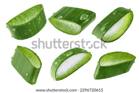 Set of fresh Aloe vera slice with aloe vera gel drops isolated on white background. Aloe vera leaf slices for design of herbal medicine or skin care treatment.