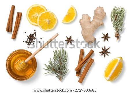 Set of fresh ginger root, lemon slices, honey bowl with dipper, cinnamon, anise, black peppercorns and pine branches isolated on white background. High quality, for food packaging and design.