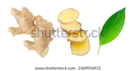 Set of fresh ginger root with sliced and green leaves isolated on white background.