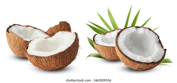 Set with Fresh raw coconut with palm leaves isolated on white background. High resolution image