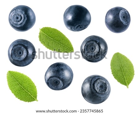 Set with fresh ripe bilberries and green leaves isolated on white