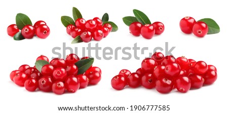 Set of fresh ripe cranberries on white background. Banner design 