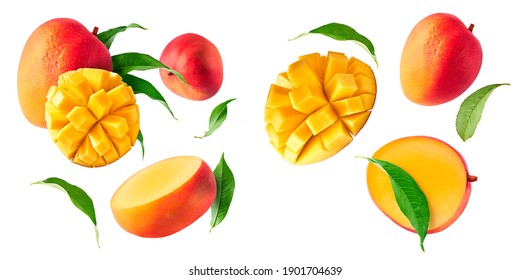 A set with Fresh ripe mango with leaves falling in the air isolated on white background. Food levitation concept. High resolution image - Shutterstock ID 1901704639