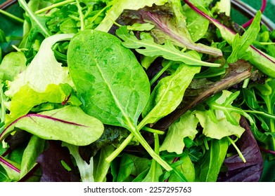 Set of fresh salad leaves on the plate. Vegan food. Food background - Shutterstock ID 2257295763