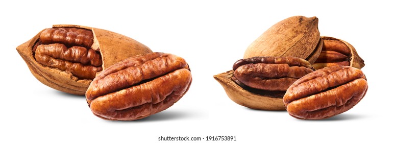 A set with Fresh tasty pecan nuts isolated on white background. High resolution image.