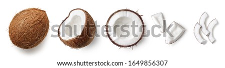 Set of fresh whole and half coconut and slices isolated on white background, top view