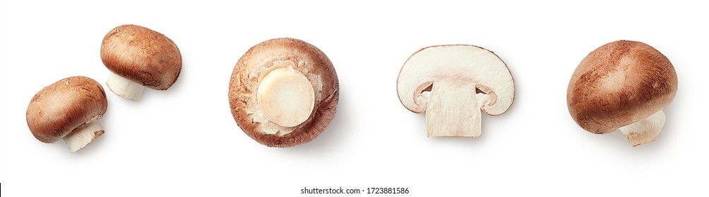 Набор свежих цельных и нарезанных грибов шампиньонов, изолированных на белом фоне. Вид сверху