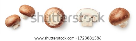 Set of fresh whole and sliced champignon mushrooms isolated on white background. Top view