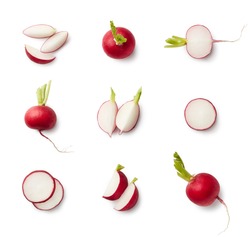 Set Of Fresh Whole And Sliced Radishes Isolated On White Background. Top View