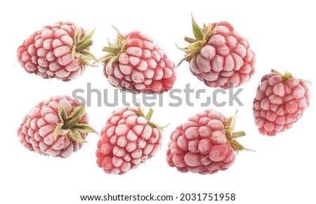 Similar – Image, Stock Photo Leaves and berries frozen in ice winter / spring