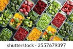 Set of frozen vegetables and fruits in plastic boxes. Top view. Stocks of frozen vegetables for the winter. On a gray concrete background.