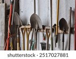 Set of garden tools in a shed leaning up against the wall shed garage organization shovels and rakes for a garden or form